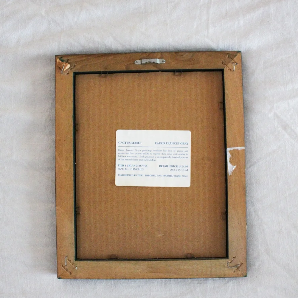 Vintage Flowering Cactus Framed Print by Karyn Frances Gray / Southwestern - Picture 6 of 8